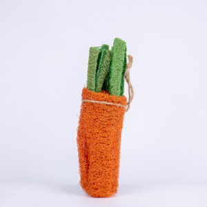 Carrot toy