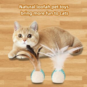 Loofah Elastic Ball Pet Toy