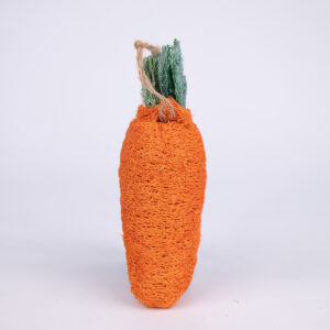 Carrot Teething Toy