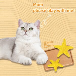 Starfish Teething Toy