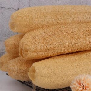 Large Luffa Sponge