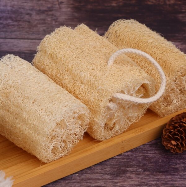 软瓜原色8cm有绳（直径5cm以上） ￥1.4